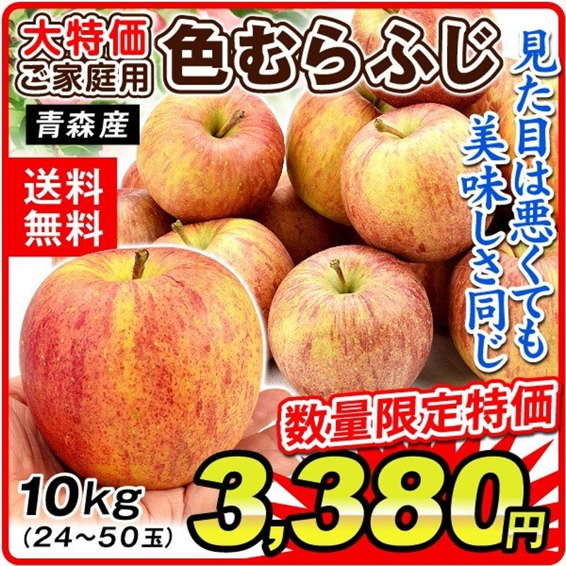 りんご 山形産 みちのくふじ 新もの 5kg 国華園 2022年11月発送 リンゴ サンふじ