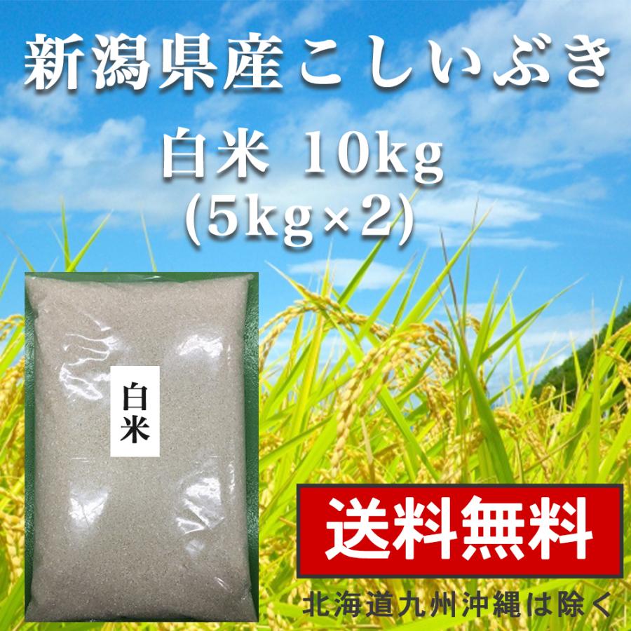 白米 10kg(5kg×2) 送料無料 新潟県産 お米 こしいぶき