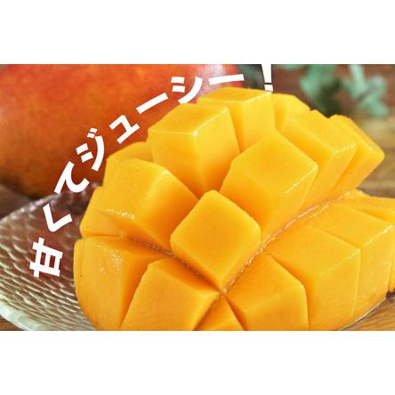 ふるさと納税 高品質マンゴー 秀品　約1.5kg（2〜5玉） 沖縄県うるま市