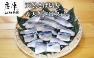 天然さば切身 切身2枚×5袋(計400g)＆天然さばフィレ フィレ2枚×3袋 (計600g) 総量1kg 「2023年 令和5年」