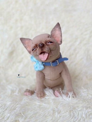 吉娃娃小狗现实玩具