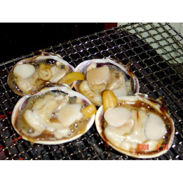 伊勢海老付プチ海鮮BBQセット（伊勢海老×1尾サザエ4個大アサリ4個）[魚介類]