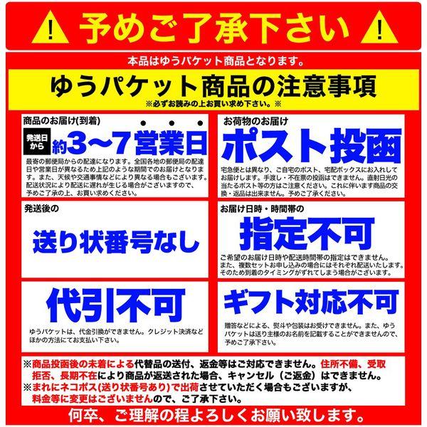 本格派生そば 8食 (180g×4) つゆ付き メール便 メーカー直送