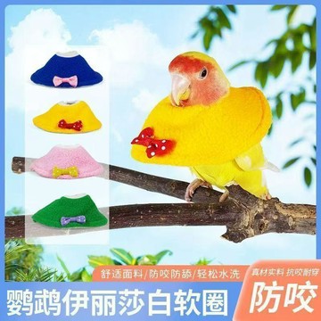 鸚鵡防咬圍脖咬毛脖圈伊麗莎白圈圍脖牡丹玄鳳大型鳥抑鬱糾正 臺灣出貨
