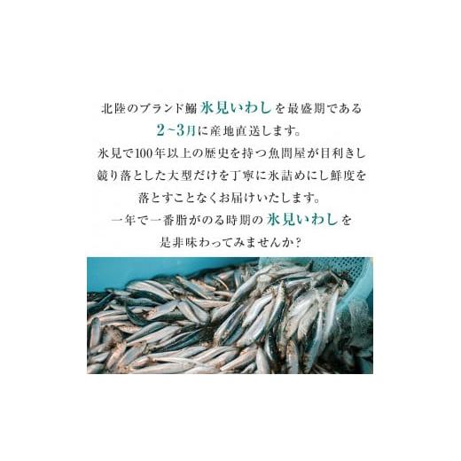 ふるさと納税 富山県 氷見市 氷見いわし　とろ生いわし3kg ＜2月以降発送予定＞　産地直送便 富山県 氷見市 鰯 イワシ 冷蔵 …