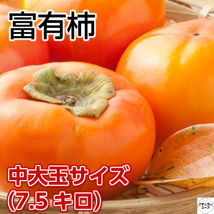 [予約 2023年11月1日-11月30日の納品] 産地厳選 富有柿 ふゆうがき  L中大玉 7.5kg箱 冬ギフト お歳暮 御歳暮