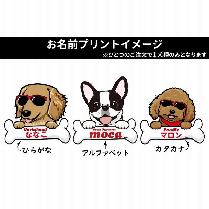 オーダーページ パネル チワワ 12/9