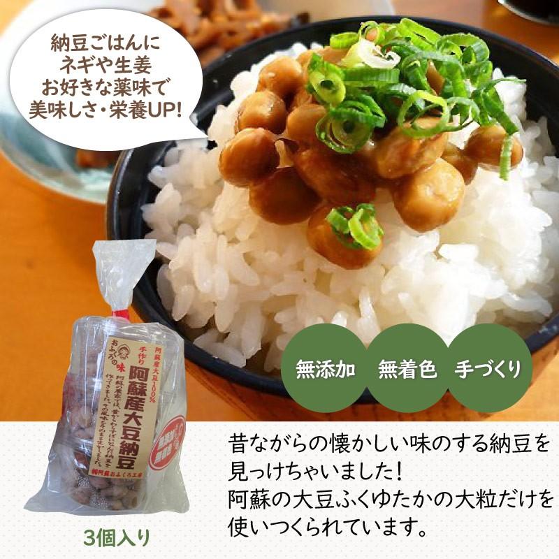 阿蘇産 大豆納豆 30g×3個×10P 阿蘇おふくろ工房 熊本県 阿蘇 美味しい 大粒 納豆 イソフラボン 発酵食品 無添加 無着色