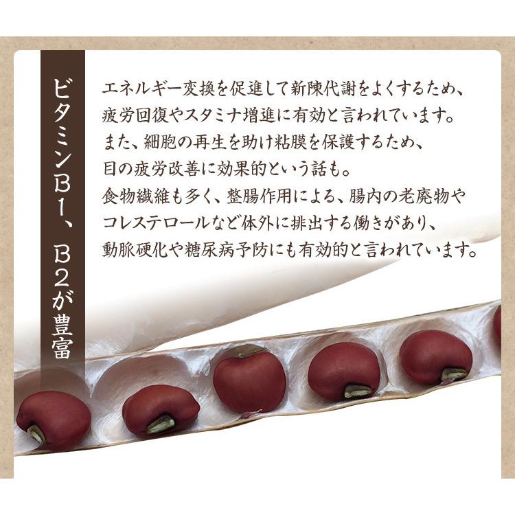 特選 だるまささげ 「500g」 岡山県産 備中だるま 令和5年産 お赤飯に最適 ささぎ