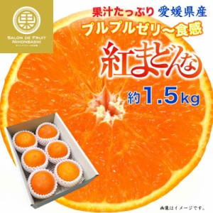 [予約 12月31日必着] 紅まどんな 約1.5kg  愛媛県 化粧箱 まどんな  お歳暮 御歳暮 冬ギフト 冬ギフト お歳暮 御歳暮 大晦日必着