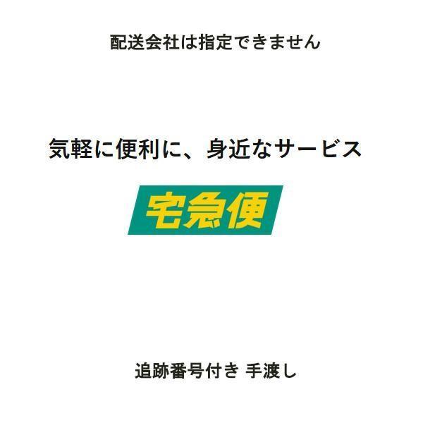 PLGST 5-1.5 Pカラー LGトップガイド SICリング FUJI 富士工業 ロッド