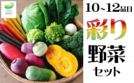 シェフ御用達！こだわり野菜セット（9品以上）※10月より容量変更となりました※