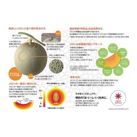 ふるさと納税  先行受付 北海道 富良野産 赤肉 つやべに メロン 4〜5玉 箱 8kg以上 (ふらの 丸山農園) 北海道富良野市