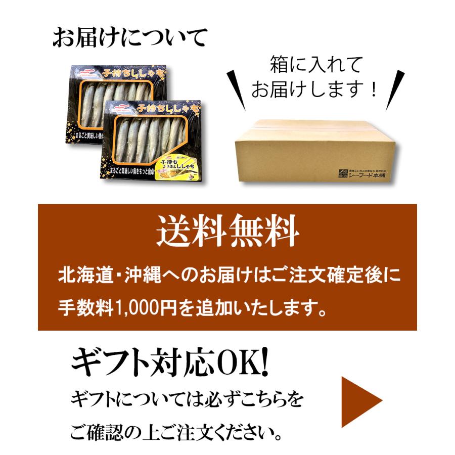 子持ち カラフト ししゃも 24尾 2箱 プレゼント ギフト お歳暮 御歳暮 2023 シシャモ