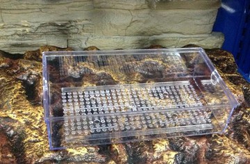 【西高地水族坊】一體成型壓克力透明滴流槽 專用滴流盒29cm*17cm*7.5cm