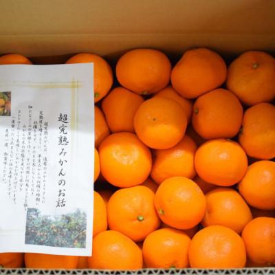 ふるさと納税 日高町 有田産樹上越冬完熟みかん約5kg(L〜2Lサイズ混合・秀品)(日高町)