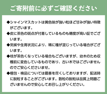 〈2024年度配送分〉山梨県甲府市産シャインマスカット大房1房（700g～800g）