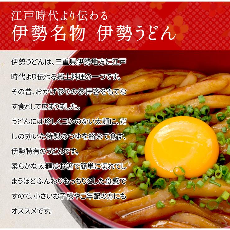 手打ち式伊勢うどん麺だけタイプ１０食入 つゆ無(簡易パッケージうどん） 送料無料 本場伊勢よりお届け 通販 伊勢うどん