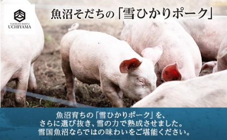 ES180 豚 肩ロース 130g 4枚 計520g 雪ひかりポーク 肉 豚肉 国産 発酵 熟成 新潟県 南魚沼市 冷凍 YUKIMURO WAGYU UCHIYAMA 内山肉店