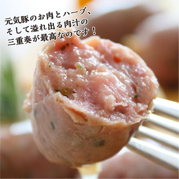 元気豚 粗挽きハーブフランク 200g（6本入）