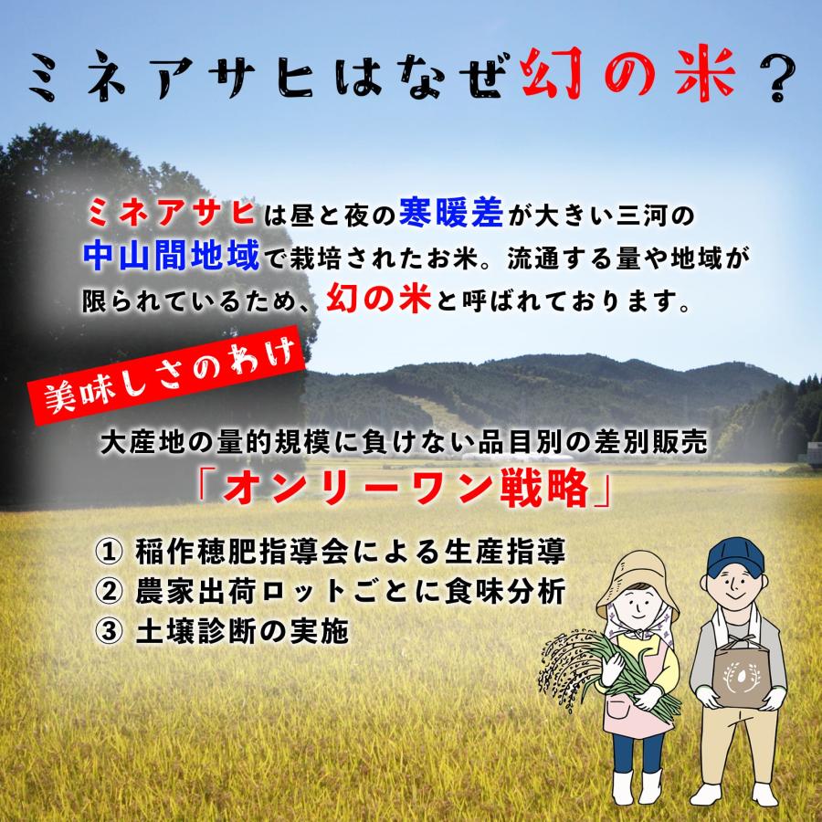 米 お米 10kg 愛知県産 ミネアサヒ 白米 10キロ 令和5年産 5kgx2袋 精米 送料無料