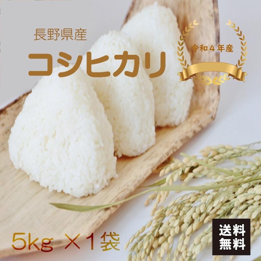 こしひかり 5kg 令和4年産 長野県産 米 お米 白米 おこめ 精米 単一原料米 ブランド米 5キロ 送料無料 国内産 国産