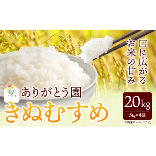 ふるさと納税 岡山県 矢掛町 新米 令和5年産 米 岡山県産 きぬむすめ 白米 選べる 20kg ありがとう園《30日以内に出荷予定(土日祝除く)》岡山県 矢掛町 米 コ…