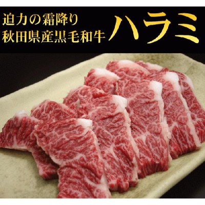 牛サガリハラミ 塊肉 業務用 冷蔵直送 特選牛ハラミ サガリブロック