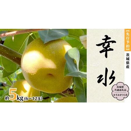 ふるさと納税  茨城県産 梨 幸水 約5kg 6玉〜12玉 (茨城県共通返礼品 かすみがうら市) (2024年8月上旬発送開始) 産地直送 久保田果.. 茨城県桜川市