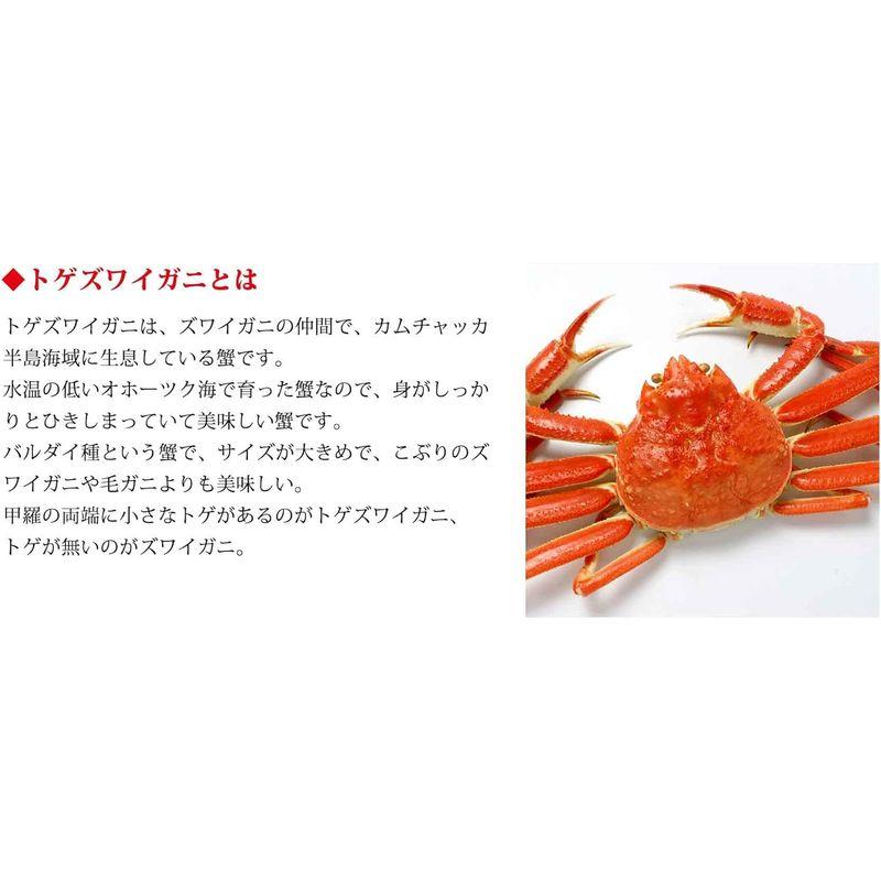 北海道ふるさと水産トゲズワイガニ 姿 １尾 特大６５０ｇ 蟹 冷凍 カニ 蟹 ずわい蟹 ズワイガニ ボイルずわいがに