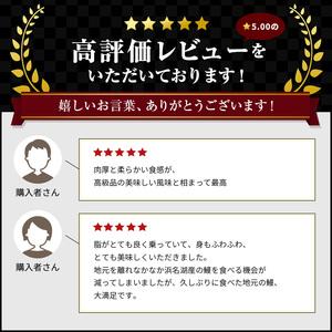 ふるさと納税 うなぎ 浜名湖 モンドセレクション連続金賞 特上 長蒲焼 2枚入り 国産 ウナギ 鰻 浜名湖うなぎ たれ セット 浜名湖産 蒲焼 蒲焼き .. 静岡県湖西市