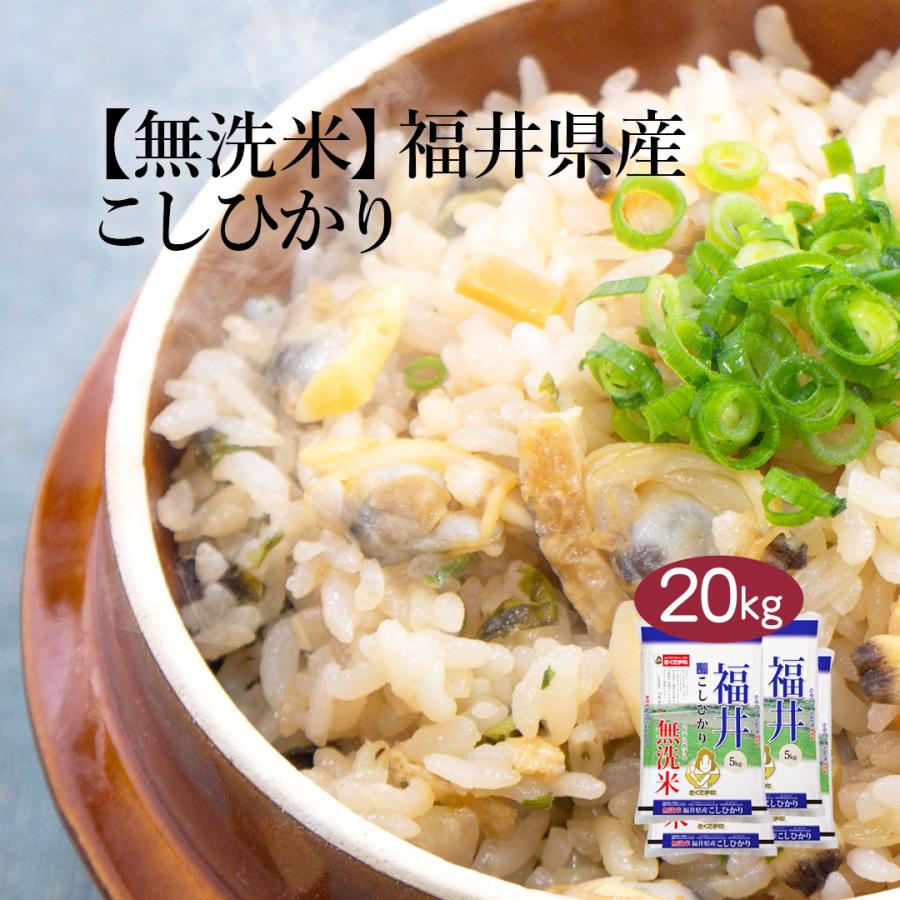 無洗米 20kg 米 コシヒカリ 福井県産 お米 送料無料 白米 精米 おこめ 20キロ こめ20kg 米20キロ お米20キロ 宅配 送料無 安い 格安 令和5年産 新米 単一原料米