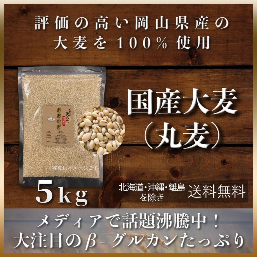 大麦(丸麦) 5kg(5kg×1袋) 雑穀 令和5年 岡山県産 もち麦の代わりに 送料無料 安い 国産