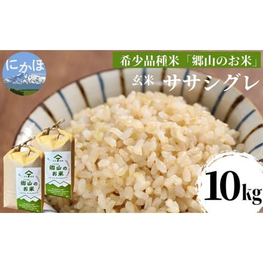 ふるさと納税 秋田県 にかほ市 ササニシキの親　農薬不使用のササシグレ「郷山のお米」10kg（5kg×2袋）（玄米）