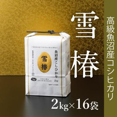 ふるさと納税 津南町 魚沼産コシヒカリ「雪椿」精米32kg(2kg×16袋)　特別栽培米