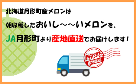 北海道 青肉メロン 月雫 優品 4～6玉 計約8kg メロン 果物 フルーツ 旬 季節 希少 甘い 豊潤 国産 北海道産 デザート ご褒美 産地直送 産直 ギフト お祝い 贈答品 贈り物 御中元 常温 お取り寄せ 送料無料