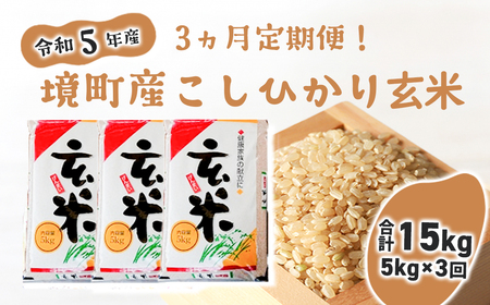 S243 令和5年産 茨城県 境町産 こだわり「こしひかり」玄米5kg×3回（合計15kg）