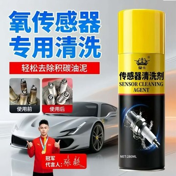 ✨臺灣出貨✨汽車皇卡正品傳感器清洗劑電磁閥專用火花塞油泥鐵屑油污積碳清潔RLZ