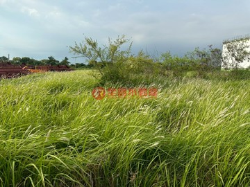 臨新營轉運站約354.3坪產業專業用地(三)｜台南市新營區新茄苳段