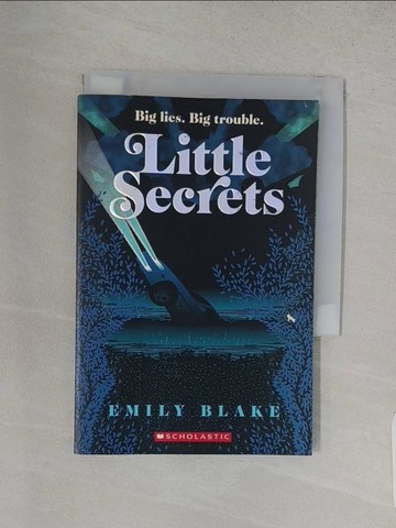 【書寶二手書T1／原文小說_W9K】No Accident (Little Secrets #2)_Blake, Emily
