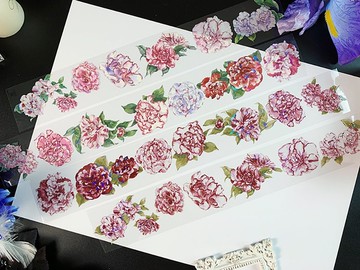 歐洲茶花 椿 PET 紙膠帶 貝殼光