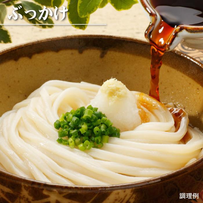 訳あり 本場讃岐うどん 1000g 半生 讃岐うどん 1kg 約10人前 うどん 食品 グルメ 常温保存で90日 ポスト投函便での配送