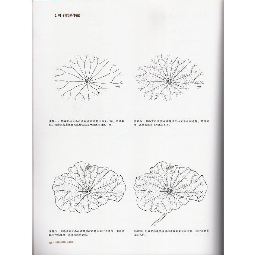 白描蓮技法一冊クリア　蓮の描き方を教え　線描　下絵　中国語絵画 中国画入#38376;精解#183;白描荷花#183;技法一解通