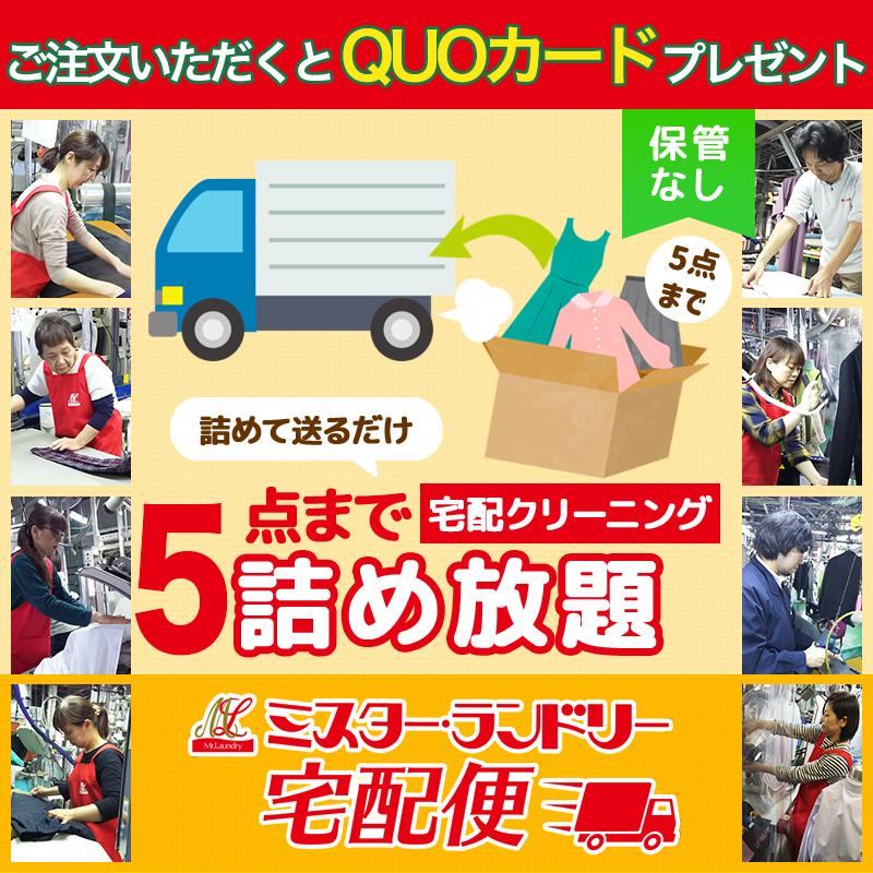 宅配クリーニング 5点セット（保管なし） | LINEショッピング