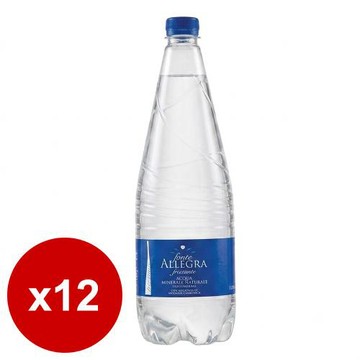 義大利 亞莉佳微氣泡礦泉水(1000mlx12瓶)