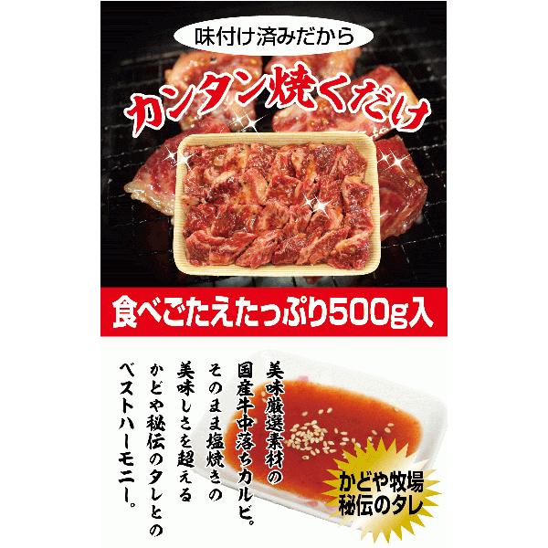 国産牛中落ちカルビ焼肉用500g 　国産 牛肉 焼肉 BBQ