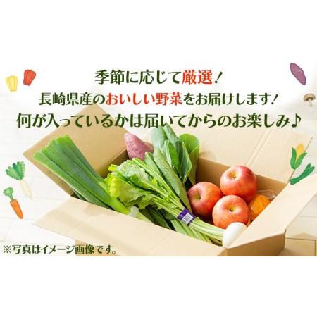 ふるさと納税 諫早産野菜の詰め合わせ(8〜9品目程度) 長崎県諫早市