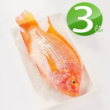 買3送2【華得水產】東港海紅鯛3尾組(400-480g/尾)總共5尾