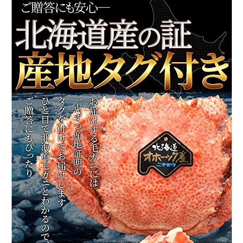 毛ガニ 姿 ボイル ２尾 約１ｋｇ（約５００ｇ×２杯） (ギフト梱包) 北海道 ブランドタグ付 毛蟹 毛がに 冷凍 蟹 かにみそ 海鮮