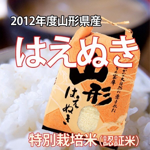 米 はえぬき 山形県産 山形 白米 5kg 米5kg 村山市 送料無 ブランド 新米 令和 令和元年